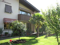 Front yard of the barber shop