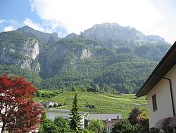 The mountains north of Walenstadt