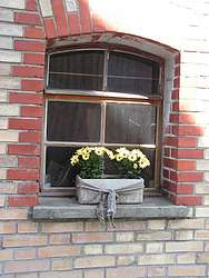 Flowers in a barn window