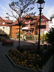 Fish Market in Arbon