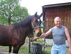The farrier and his circus mare