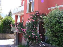 Flowers in a front yard in Ascona