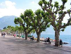 Ascona's lakefront promenade