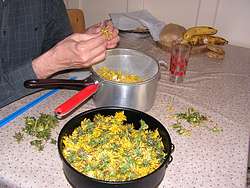 Preparing dandelion blossoms
