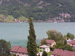 Wind surfers off Quinten