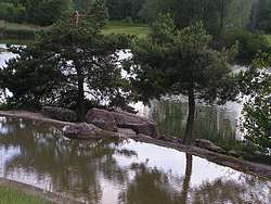 University campus pond 1