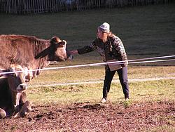 Me talking to the cows