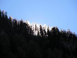 Sunset behind a wooded crest