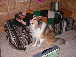 Me sleeping on the couch