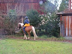 Helene riding back to the stable