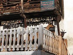 Goats on the terrace