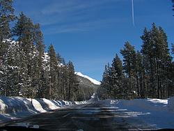 The only road in the Alpine National Park, looks like Michigan