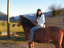 Carol the horse woman