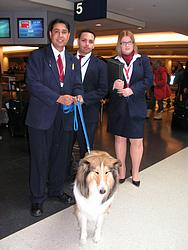 Chicago O'Hare: Swiss Air staff with Laddie