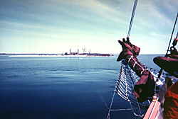 Gull Island 