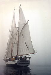 Schooner Madeline