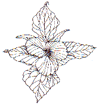 Front Page "Seasons"