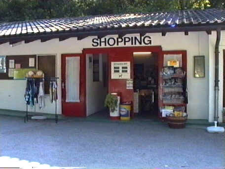 schoping.bmp (467910 Byte)
