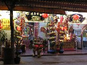 P1010039 kl.jpg (11111 Byte)