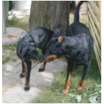 3galerie03.html