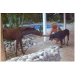 3galerie107.html