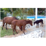 3galerie117.html
