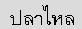 thaiscript