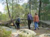 31.03.02_arbres.jpg (123842 octets)