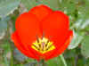 31.03.02_atelier.jpg (41262 octets)