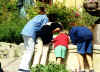 mission_coins.jpg (92812 octets)
