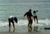 monterey_beach2.jpg (71099 octets)
