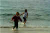 monterey_beach.jpg (66131 octets)