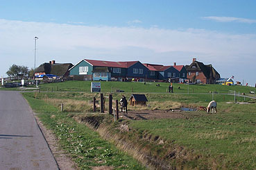 Backenswarft