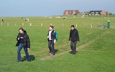 die letzten Ank&ouml;mmlinge