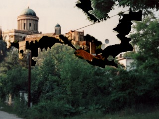Esztergom, Dom (Esztergomi Bazilika)