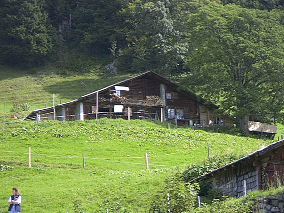 36SR Breinzerrothorn
