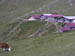 41SR Breinzerrothorn