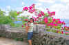 wpe33.jpg (648696 Byte)