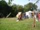 DSC00024.JPG