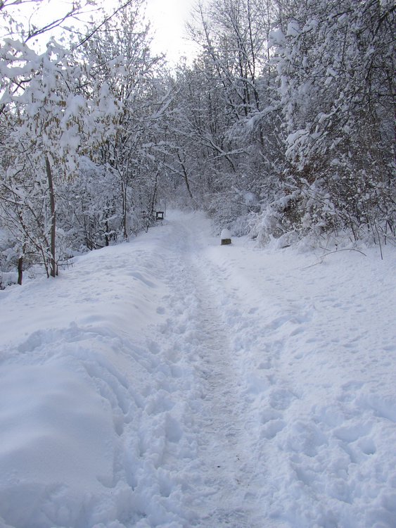 winter2006 (36).JPG