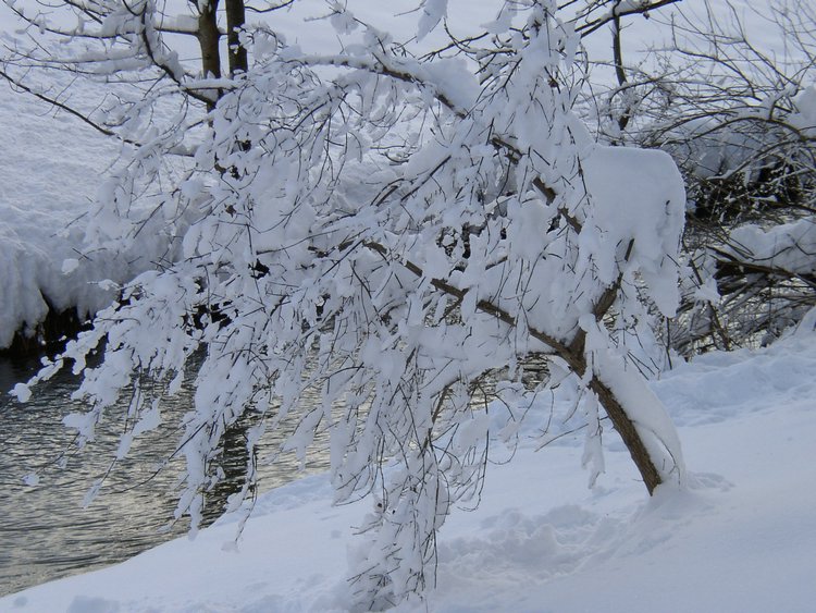 winter2006 (37).JPG
