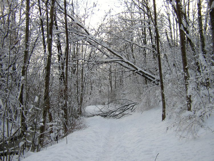 winter2006 (38).JPG