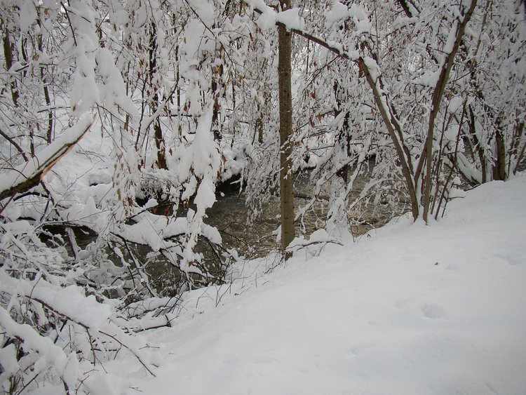 winter2006 (39).JPG