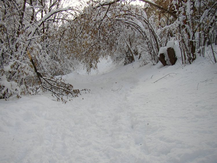winter2006 (40).JPG