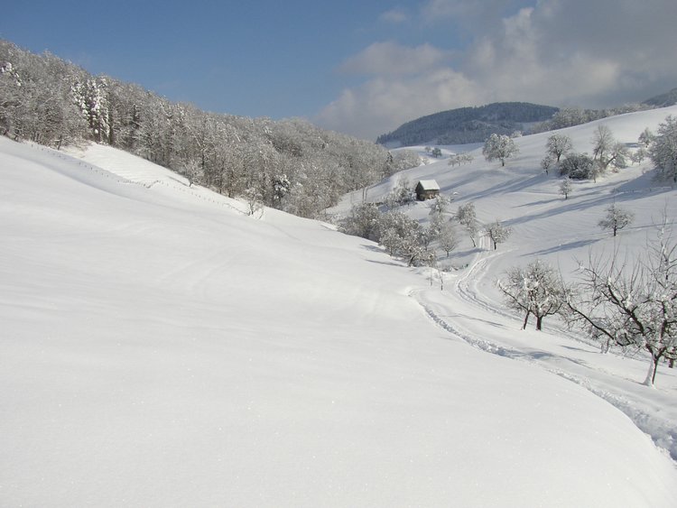 winter2006 (41).JPG