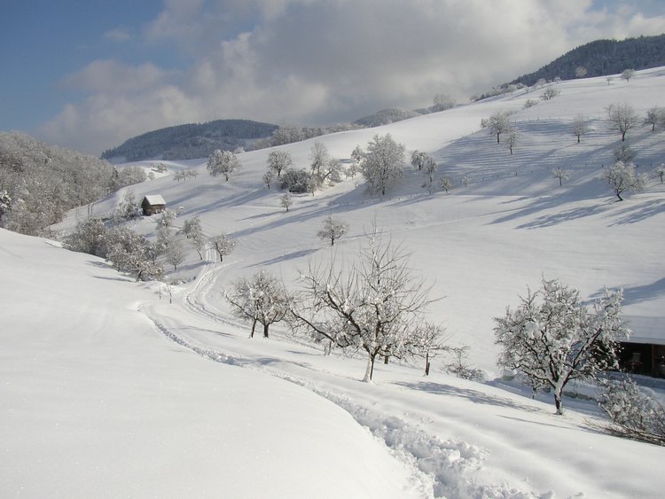 winter2006 (42).JPG