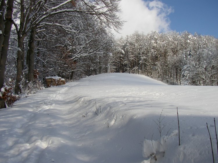 winter2006 (43).JPG