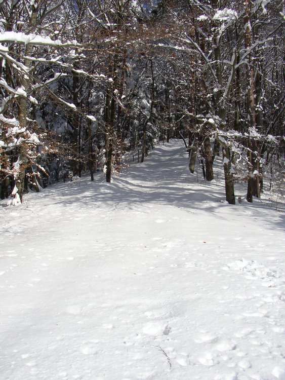 winter2006 (46).JPG
