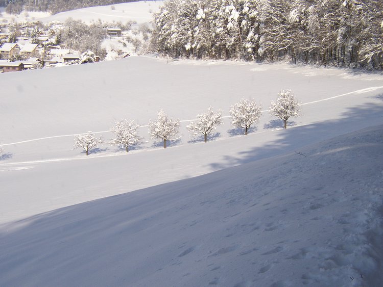 winter2006 (52).JPG
