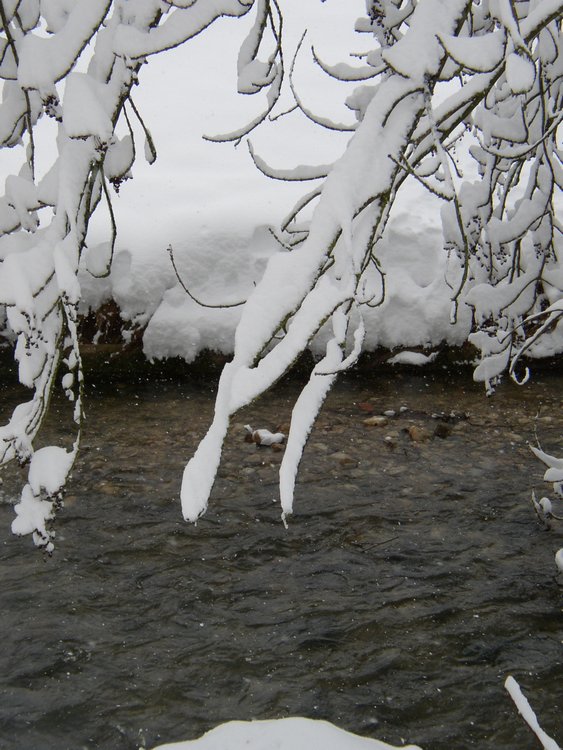 winter2006 (7).JPG